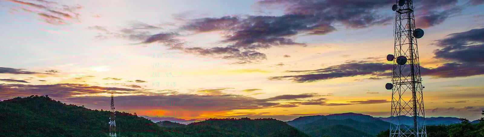 Subscription & Service Plans