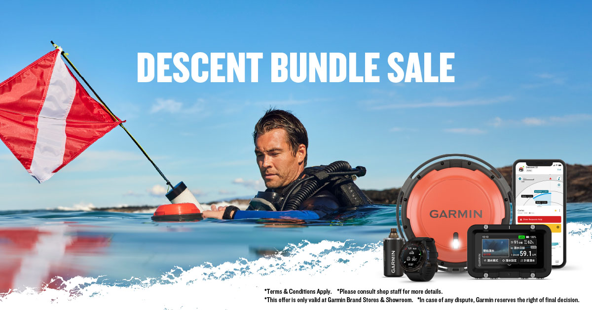 [20250826] Descent Bundle Sale 2025